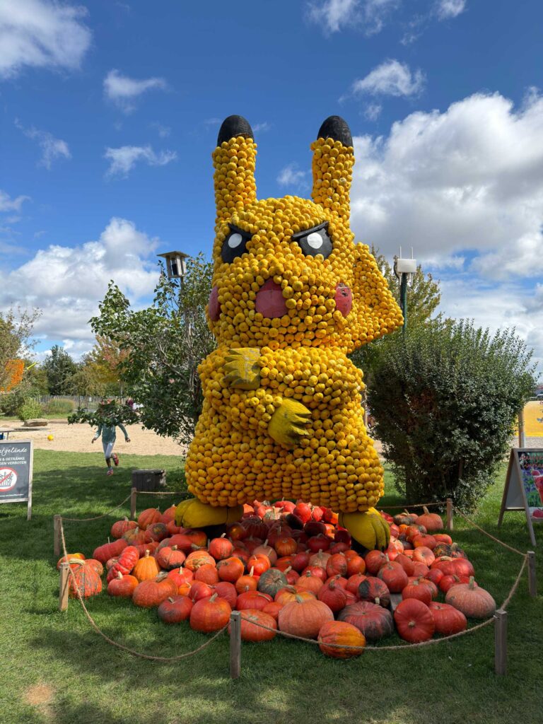 Pikachu aus Kürbissen gefertigt beim Kürbisparadies Bauer Lipp