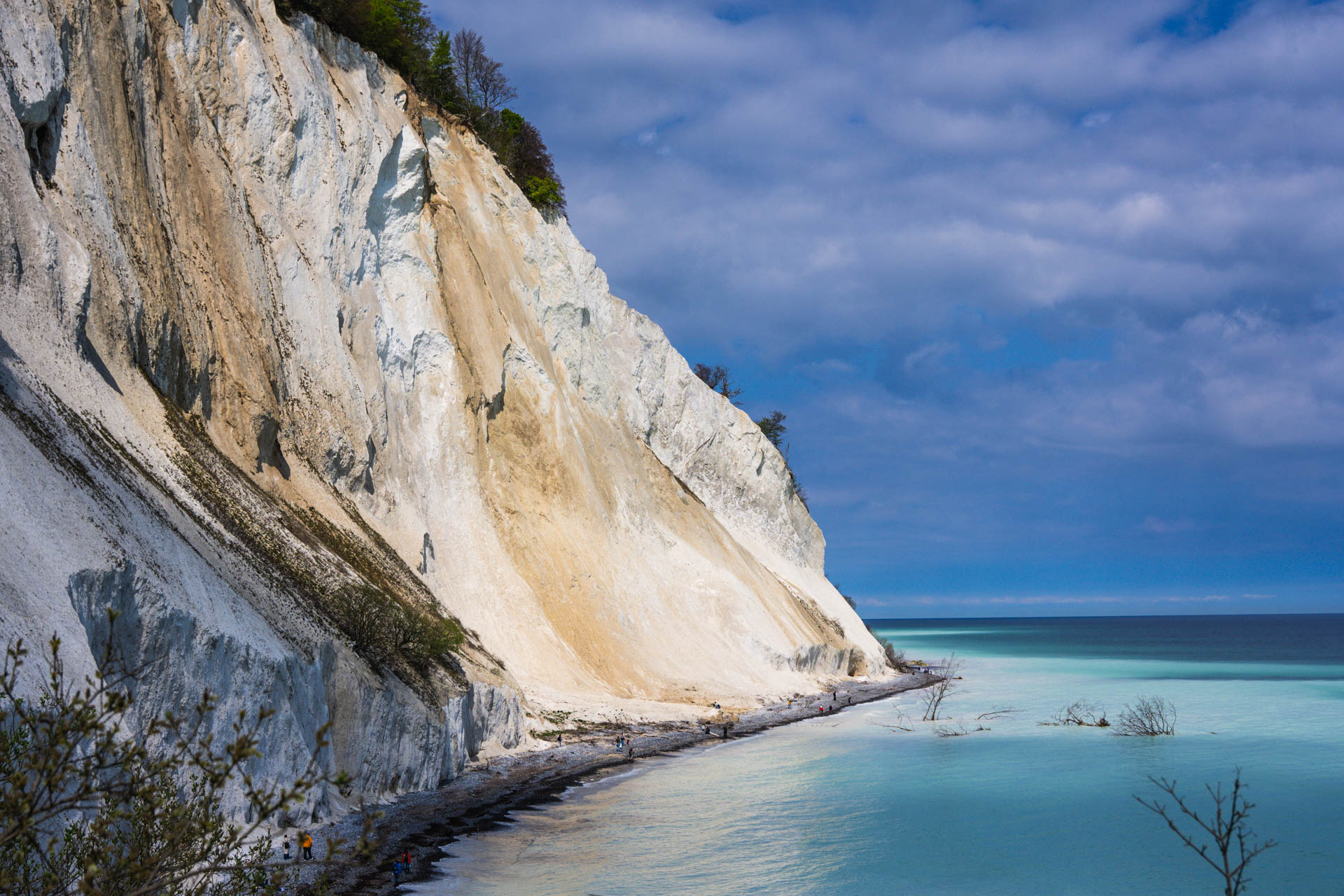 Møns Klint – Kreidefelsen