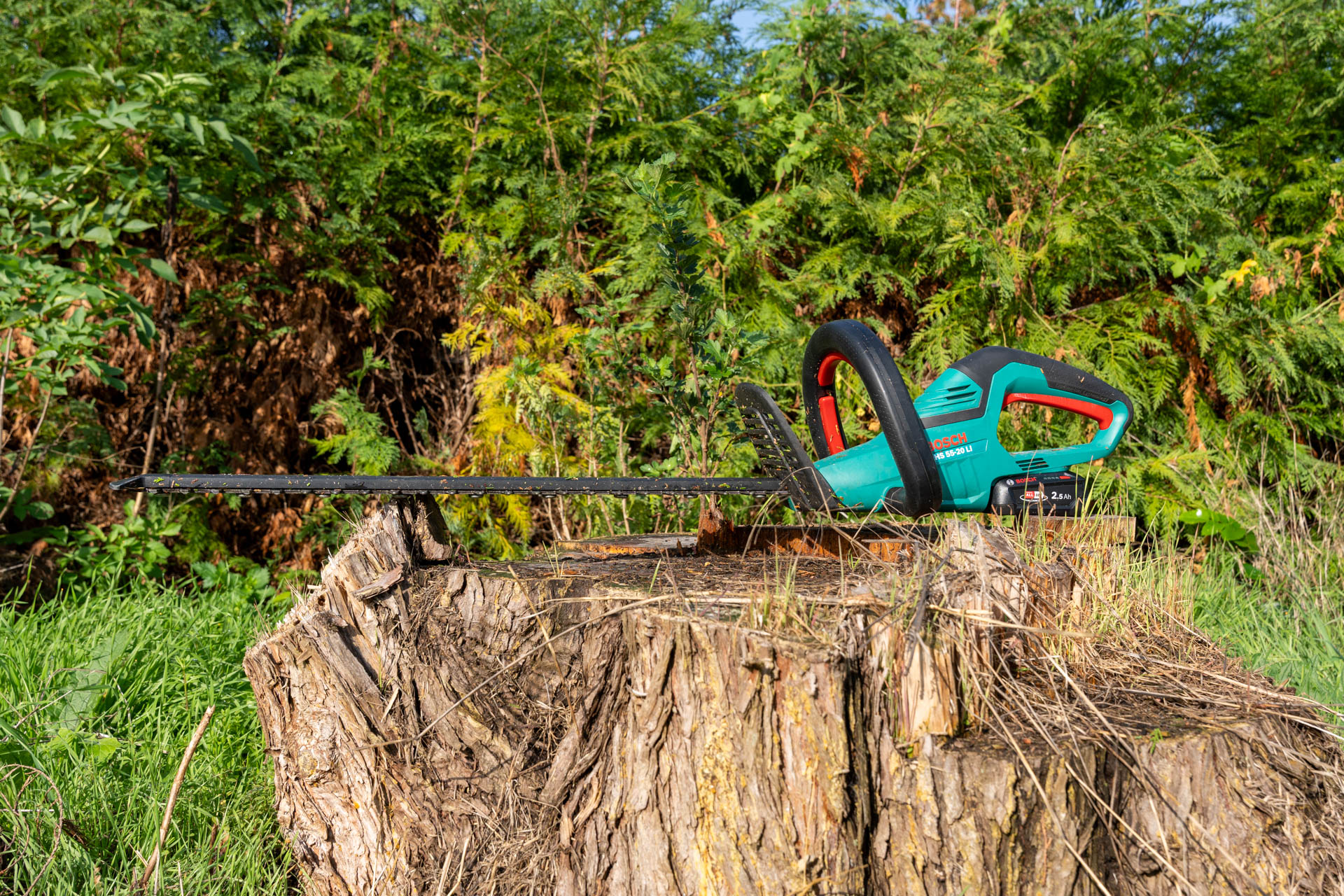 Bosch AHS 55-20 LI Heckenschere im Test